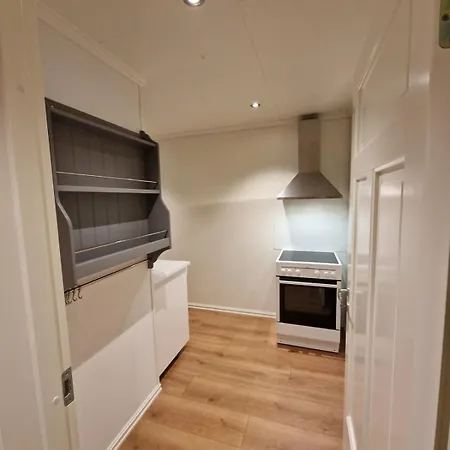 Private With Shared Kitchen, Bathroom And Tv Leilighet Gjøvik
